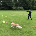 Anja Mersdorf beim Körpersprachlichen Longieren mit Ihrem Hund Cookie