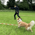 Anja Mersdorf trainiert mit Ihrem Hund Cookie das körpersprachliche Longieren